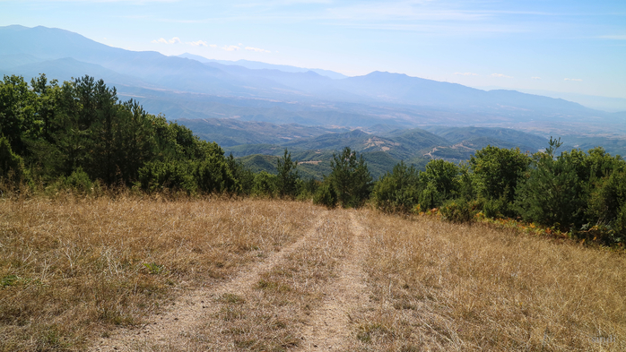IMG_1631 (700x393, 376Kb)
