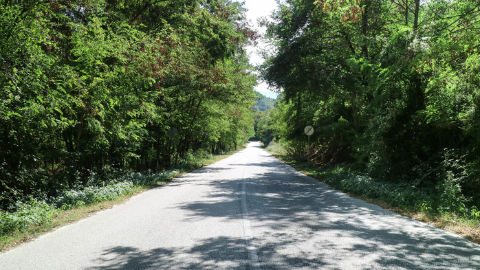 IMG_1655 (700x393, 465Kb)