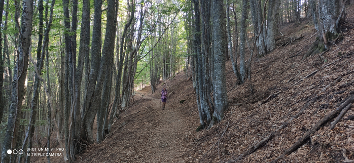 IMG_20200925_102818 (700x322, 346Kb)