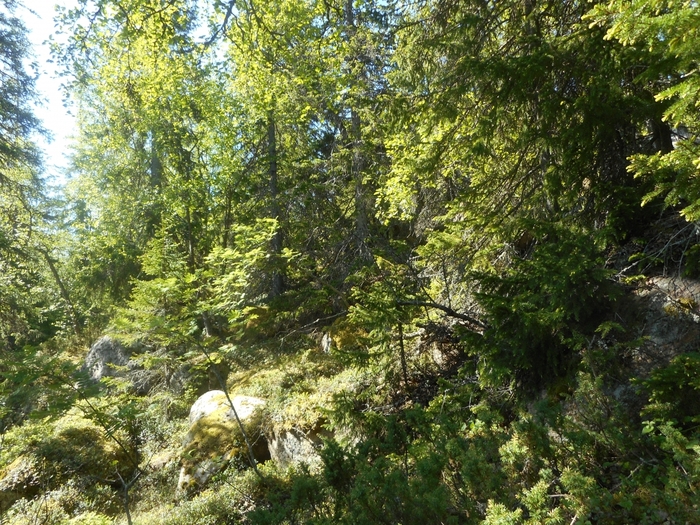 4878453_kyzovaa_115 (700x525, 407Kb)