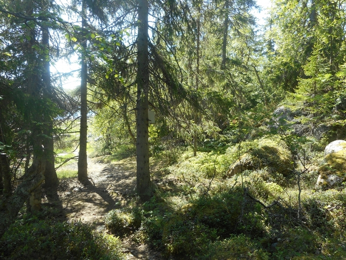 4878453_kyzovaa_116 (700x525, 394Kb)