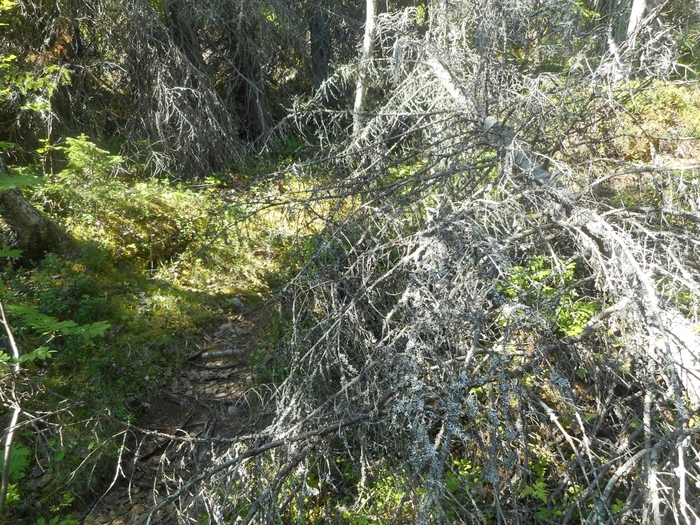 4878453_kyzovaa_113 (700x525, 406Kb)