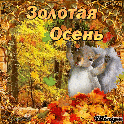 г1 (400x400, 1349Kb)
