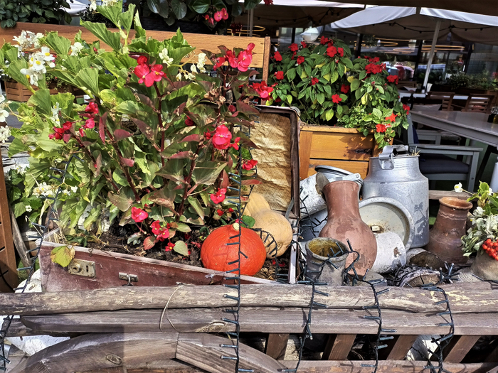 IMG_20210910_111754_844 (700x525, 574Kb)