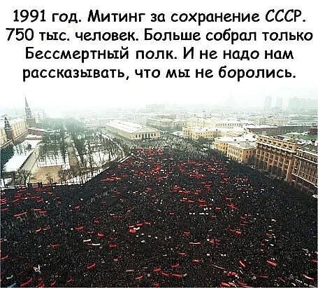 241731367_570985467426081_7850911350792695339_n (455x411, 63Kb)