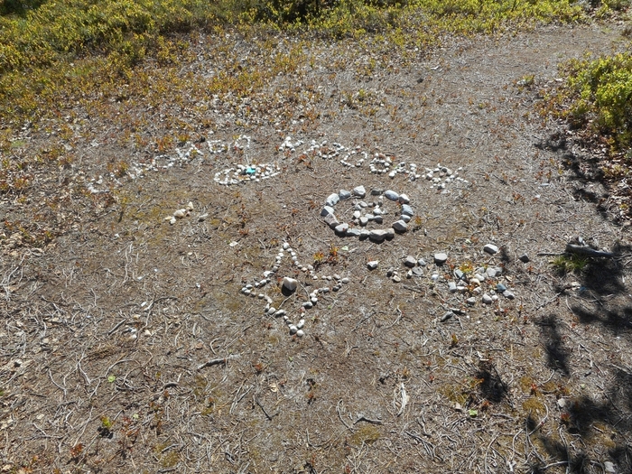 4878453_kyzovaa_213 (700x525, 409Kb)