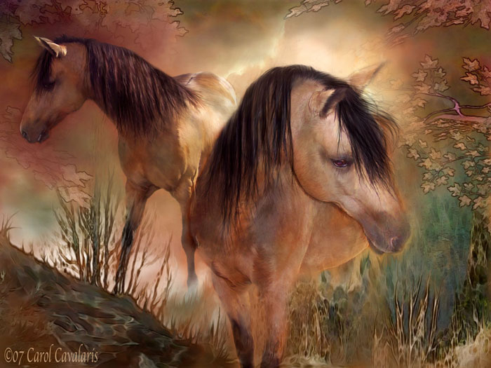 Лошади от Carol Cavalaris (7) (700x525, 209Kb)