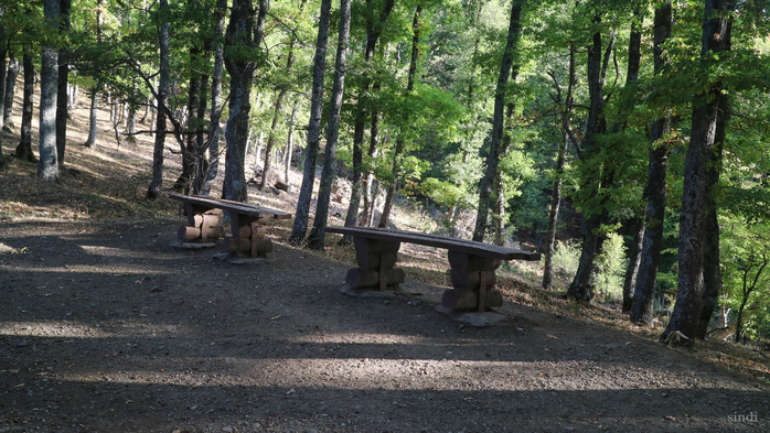 IMG_1863 (700x393, 439Kb)