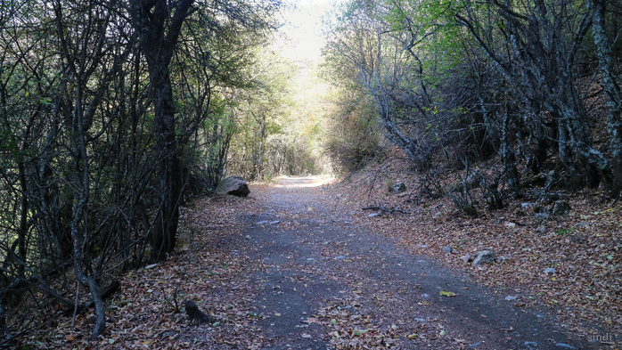 IMG_1872 (700x393, 462Kb)