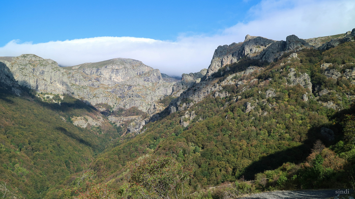 IMG_1877 (700x393, 389Kb)