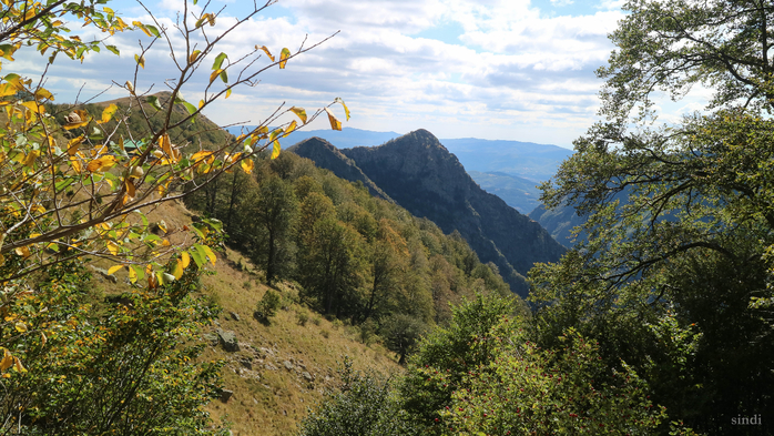 IMG_1916 (700x393, 483Kb)