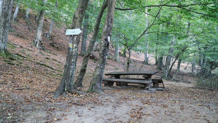 IMG_1854 (700x393, 483Kb)