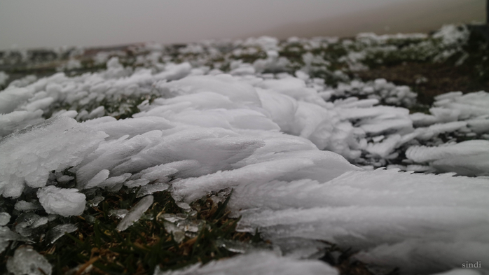 IMG_1965 (700x393, 196Kb)