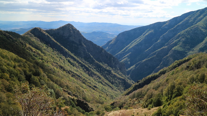 IMG_1917 (700x393, 398Kb)