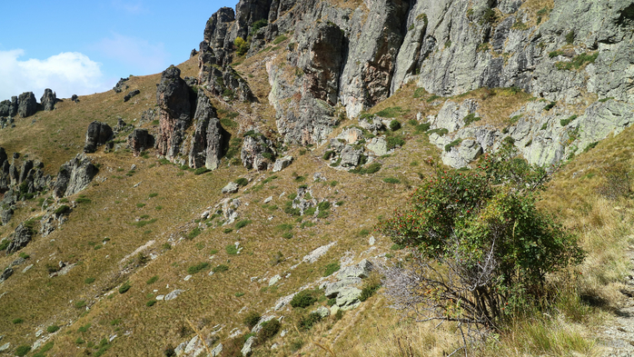 IMG_1921 (700x393, 467Kb)