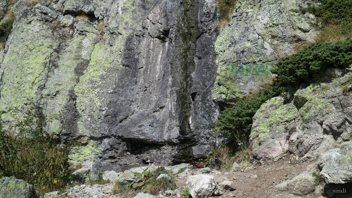 IMG_1925 (700x393, 454Kb)