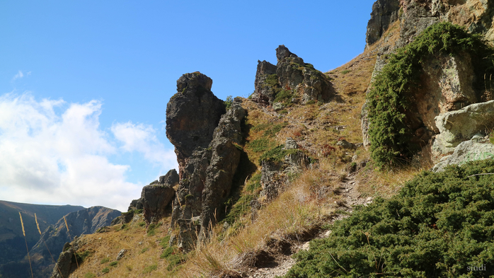 IMG_1929 (700x393, 370Kb)