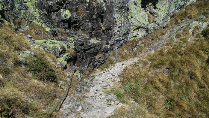 IMG_1941 (700x393, 468Kb)