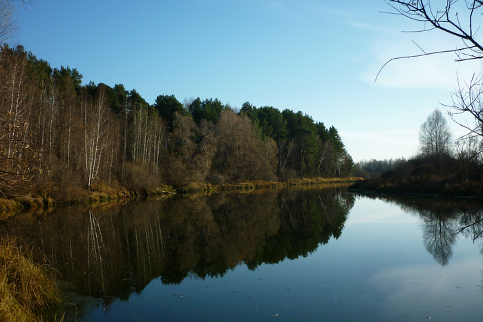 P1080873 (700x466, 428Kb)