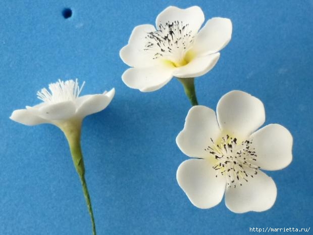 Лепим белые цветочки с пестиками. Мастер-класс (6) (620x465, 108Kb)