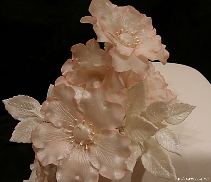 Лепка из сахарной мастики для тортов. Красивые цветы (2) (691x595, 144Kb)