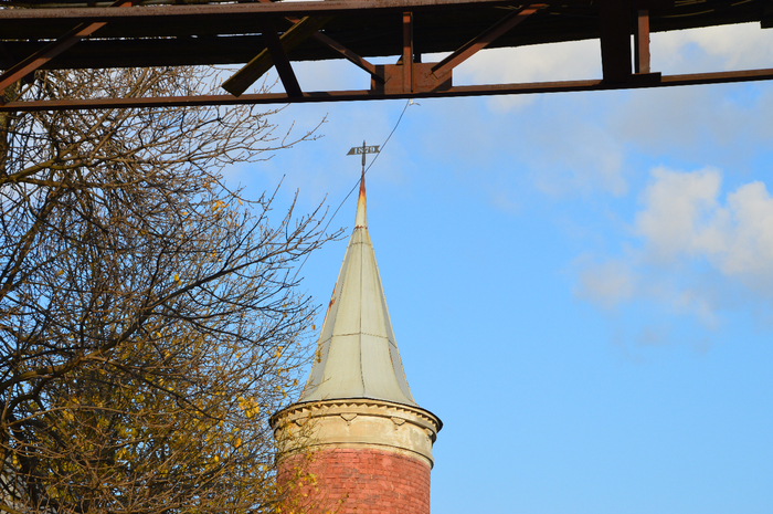 DSC_4640 (700x465, 502Kb)