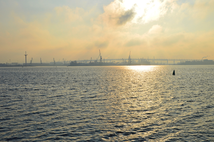DSC_4661 (700x465, 461Kb)