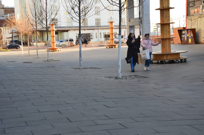 DSC_4768 (700x465, 418Kb)