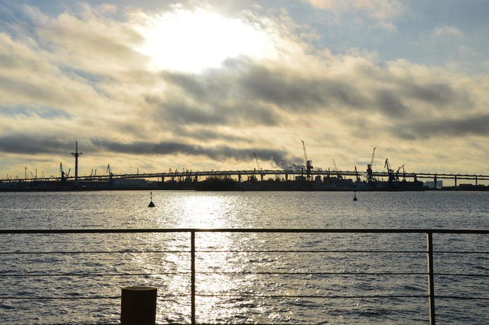 DSC_4773 (700x465, 430Kb)