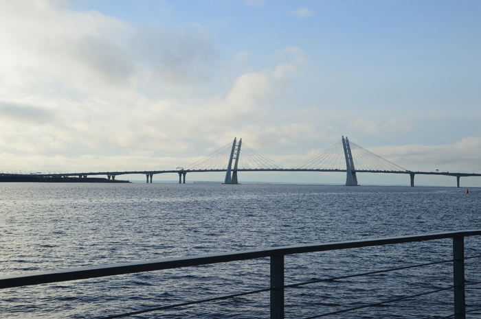 DSC_4782 (700x465, 371Kb)