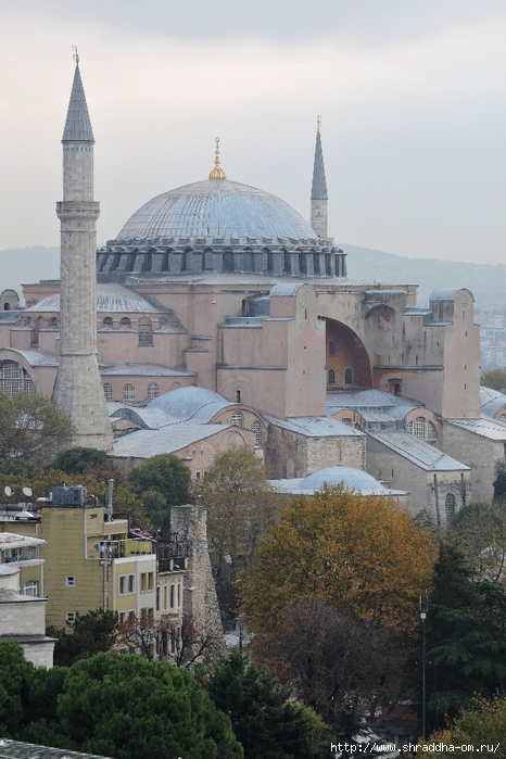 Стамбул, Турция, Istanbul, Shraddhatravel 2021 (30) (466x700, 273Kb)