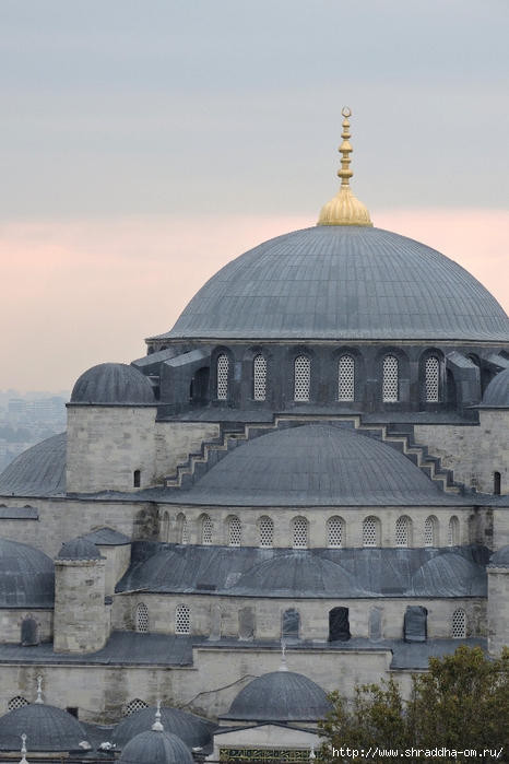 Стамбул, Турция, Istanbul, Shraddhatravel 2021 (35) (466x700, 243Kb)