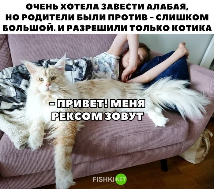 5402287_5_1_ (700x617, 132Kb)
