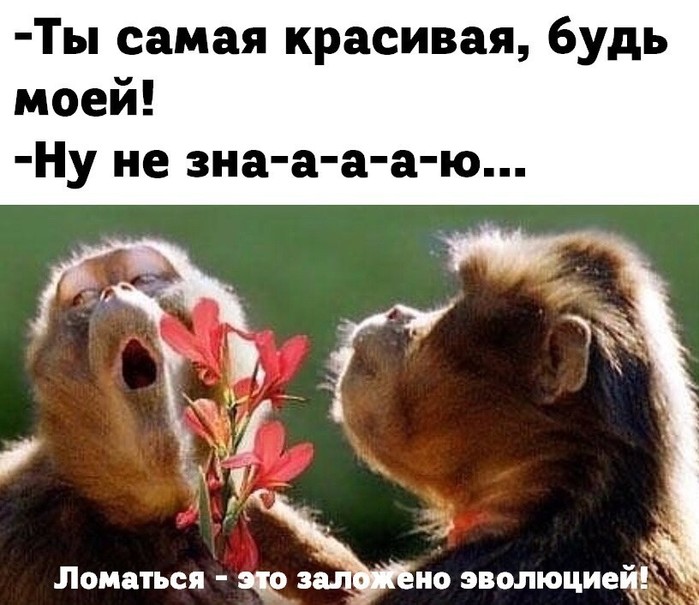 5402287_70eb2de63592cb98c68f36757d842009 (700x605, 95Kb)