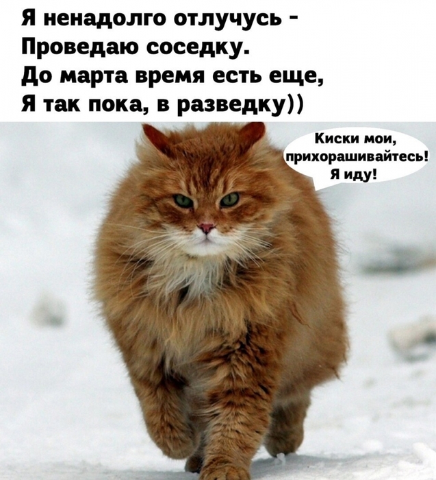 5402287_a11c645f4865516620d6b9c8bf51893a (637x700, 265Kb)