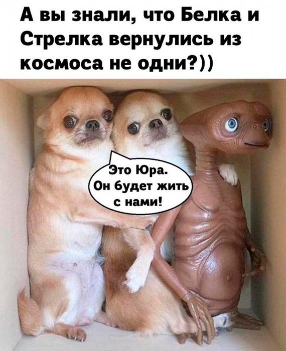 5402287_b89b3a4f69911808d4047f2ab78f5dd8 (570x700, 237Kb)