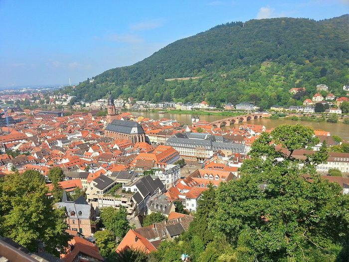 2714816_Heidelberg__aus_dem_Schloss_1 (700x525, 122Kb)