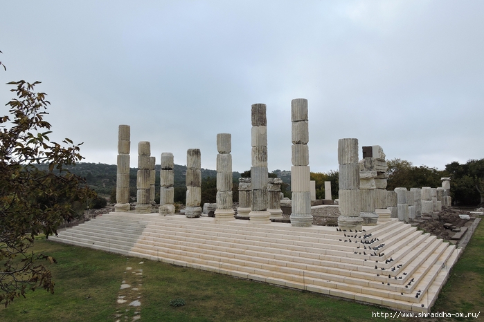 храм Аполлона, Турция, Shraddhatravel 2021 (8) (700x466, 240Kb)