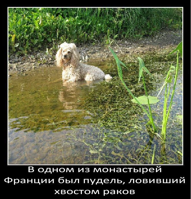 13в (662x689, 372Kb)