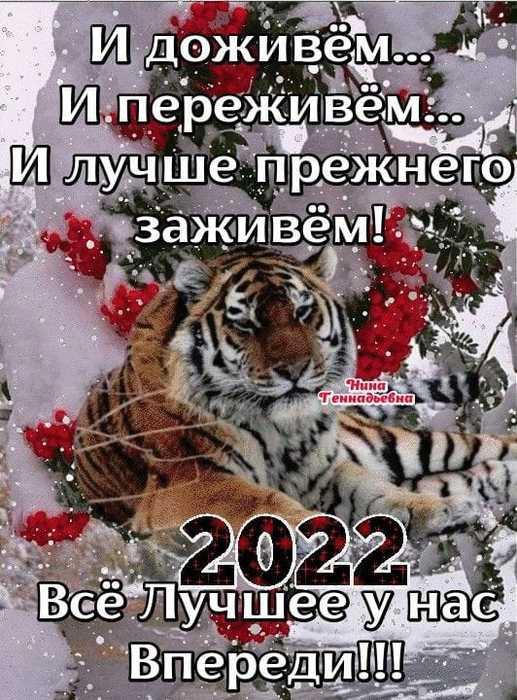 270786317_4479616078816843_1409807334006845057_n (517x700, 70Kb)