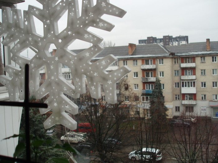 P1010002 (700x525, 97Kb)