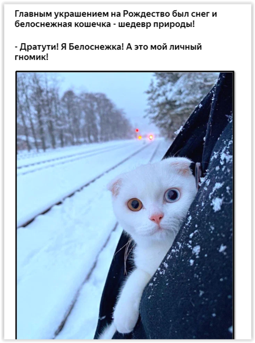 Screen Shot Пуховы Wed Jan  5 22-49-40 2022 (520x700, 386Kb)