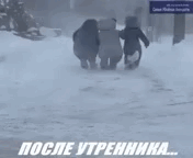 6377712_troika_1_ (176x144, 4292Kb)