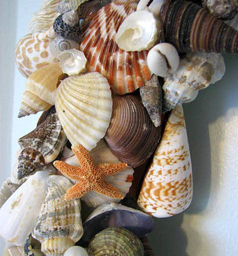 Красивый декор из морских ракушек от Beach Grass Cottage (6) (477x513, 215Kb)