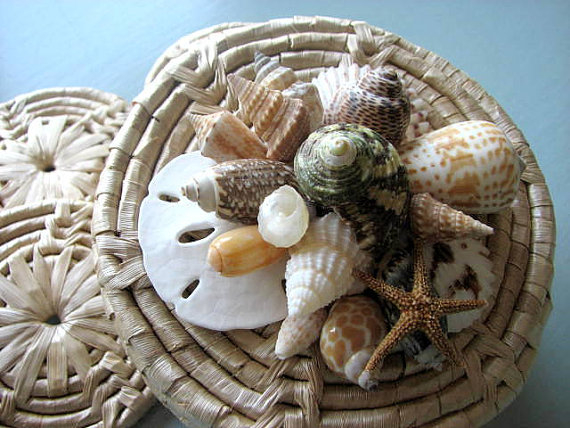 Красивый декор из морских ракушек от Beach Grass Cottage (50) (570x428, 194Kb)
