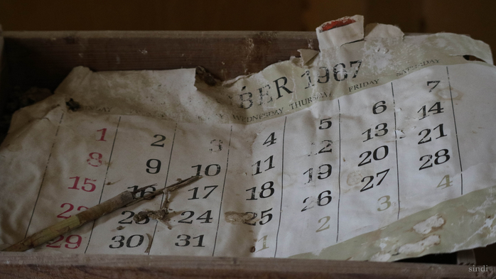 IMG_4029 (700x393, 241Kb)