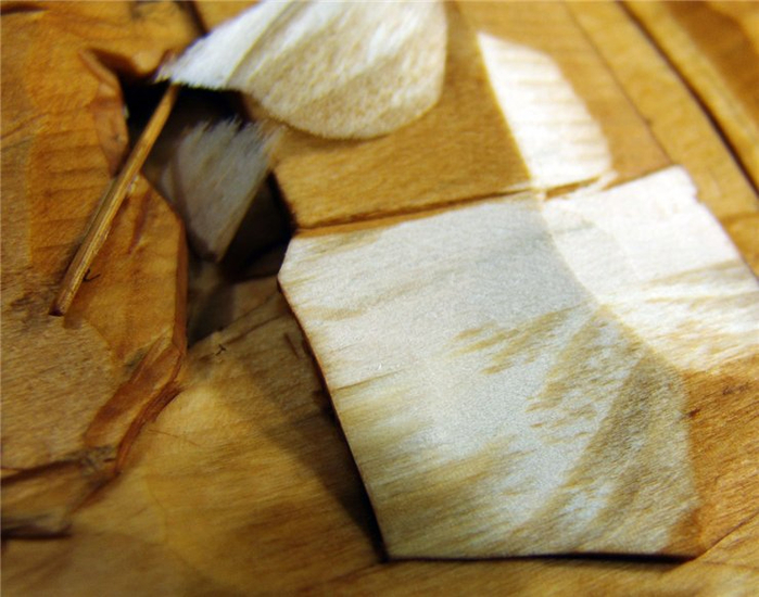Технология художественной тонировки деревянного покрытия (13) (700x550, 371Kb)