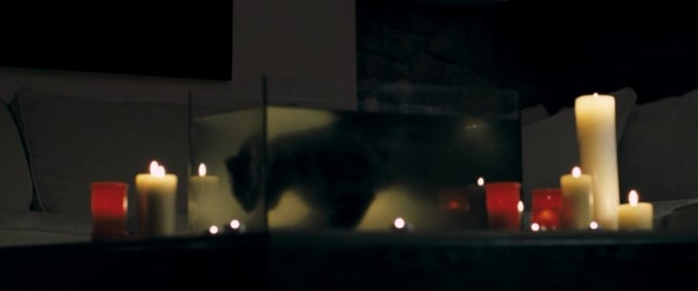 ich seh (19) (700x291, 92Kb)