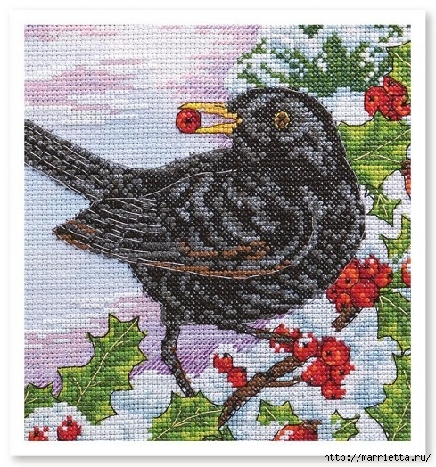 Вышивка «Зимующая птица с ягодами рябины» (3) (489x524, 291Kb)