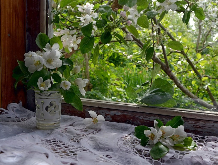 image (700x529, 437Kb)